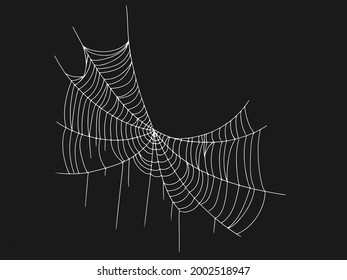 Beautiful spider web. Halloween decor. Decoration for the holiday. Vector illustration isolated on white background.
