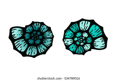 Beautiful spiral seashell in blue. Isolated illustration on white. Sea life details. vector