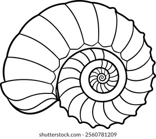 Beautiful Spiral Seashell Icon Vector Illustration