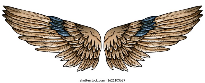 Beautiful spreaded hand drawn eagle brown wings with turquoise feathers, vector