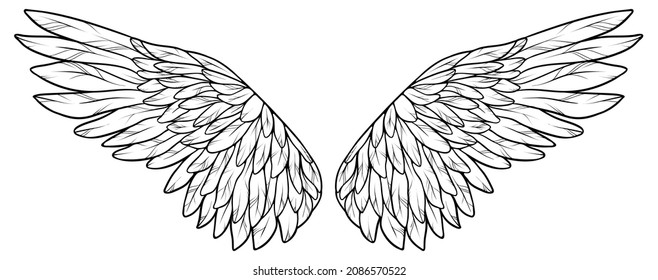 Beautiful spreaded white wings, for coloring, monochrome vector illustration