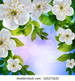 Beautiful Spring Background