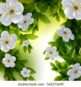 Beautiful Spring Background