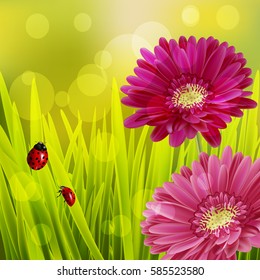 Beautiful Spring Background
