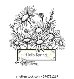 Beautiful spring background with chamomiles. Festive invitation. Hello Spring. Every chamomile isolated.