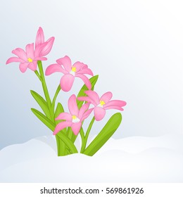 Beautiful spring background with Chionodoxa in snow for congratulations with spring or Womens Day. Holiday poster or placard template in cartoon style. Vector illustration. Flower Collection.
