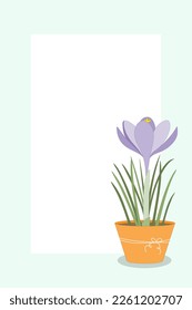 Hermoso fondo primaveral. Crocus en una olla de flores.