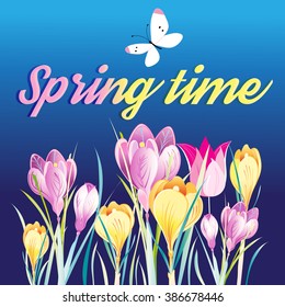 Beautiful spring background with crocuses and butterfly

