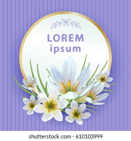 Beautiful spring background with flowers of Zephyranthes. Can be used to design greeting cards, invitation, announcement spring sale.
