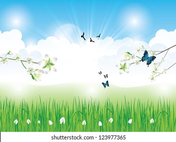 Beautiful spring background with grass clouds flowers and butterfly