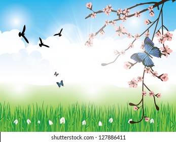 Beautiful spring background with grass clouds flowers and butterfly