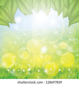Beautiful spring background with grass flowers and leaves