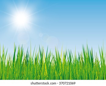 beautiful spring background with green grass texture, blue sky and bright sun