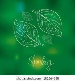 Beautiful spring background. Green and yellow colors. Vector illustration