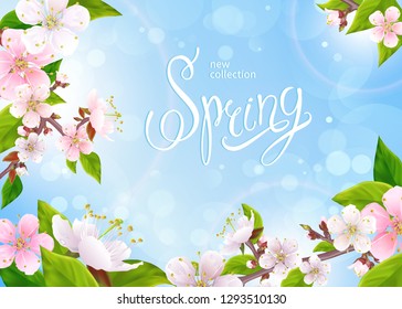 Beautiful spring background. Light pink flowers on branches with green leaves, buds in bloom on a blue sky background. Inscription Spring in the center. Vector illustration