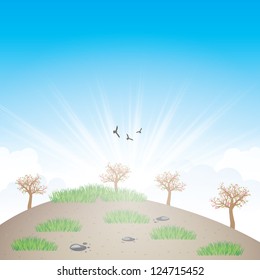 Beautiful spring background with spring trees and flowers