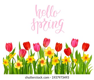 Beautiful spring blossom border with daffodils, tulips and grass. Holiday design elements for design card, banner, ticket, leaflet, poster, invitation, congratulation and so on. Hello spring lettering