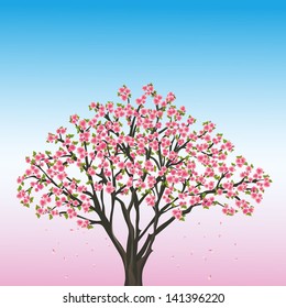 Beautiful spring blue- pink background with sakura - japanese cherry tree, vector illustration