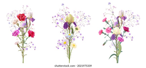 Schöner Frühlingsbuquet: Blaueisen, rote Nelke, Zigeunerschnecke, Gänseblümchen. Blumen, kleine Zweige auf weißem Hintergrund. Digitale Zeichnungsgrafik in Aquarellfarben für Mütter-Tag, Panoramasicht, Vektorgrafik