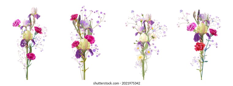 Beautiful spring bouquet: blue irises, red carnation, gypsophila, daisy. Flowers, small twigs on white background. Digital draw illustration in watercolor style for Mothers Day, panoramic view, vector