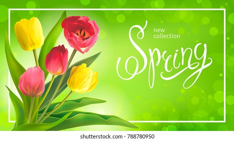 Beautiful Spring bouquet of red and yellow tulips on a green background. Template for greeting card and banners on 8 March, Mother's Day, Birthday, Spring Sale. Vector illustration, EPS10 format