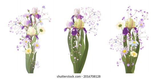 Beautiful spring bouquets: blue irises, daisy, gypsophila. Flowers, small green twigs on white background. Digital draw illustration in watercolor style for wedding anniversary, panoramic view, vector