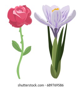 Beautiful spring flower botanical bloom watercolor painting summer branch petal decoration bouquet nature design vector illustration