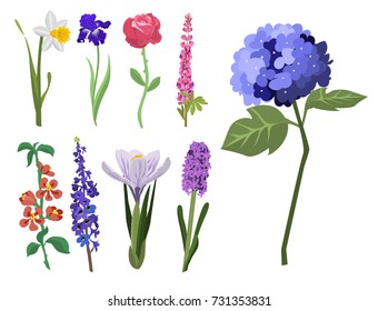 Beautiful spring flower botanical bloom watercolor painting summer branch petal decoration bouquet nature design vector illustration