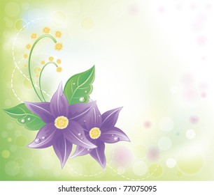 Beautiful Spring Flowers