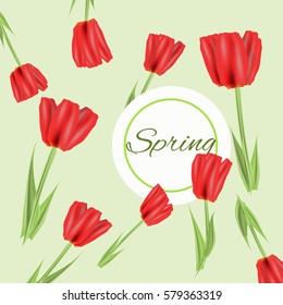 Beautiful spring flowers collection. Vector drown isolated tulips. Template for invitation, wedding, greeting card or print.