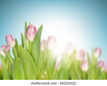 Beautiful spring flowers. EPS 10 vector file included