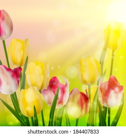 Beautiful spring flowers. And also includes EPS 10 vector