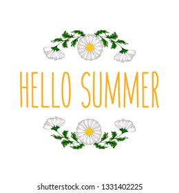 Beautiful Spring Flowers White Background Vector Illustration