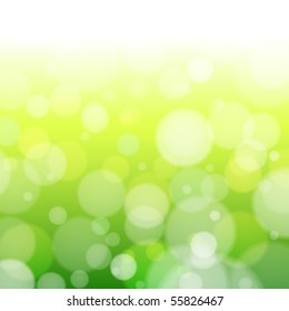 Beautiful spring forest bokeh. Vector background