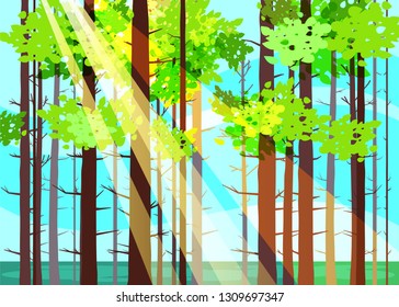 Beautiful Spring forest trees, green foliage, landscape, bushes, silhouettes of trunks, horizon. Rays of sunlight. Vector cartoon style illustration template baner poster isolated