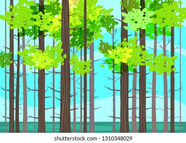 Beautiful Spring forest trees, green foliage, landscape, bushes, silhouettes of trunks, horizon. Vector cartoon style illustration template baner poster isolated
