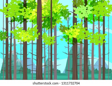 Beautiful Spring forest trees, green foliage, landscape, bushes, silhouettes of trunks, horizon. Vector cartoon style illustration template baner poster isolated