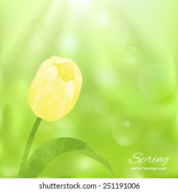 Beautiful spring illustration  with tulips. Spring card with place for text. Stylish fashion background