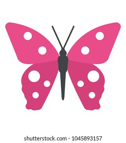 A beautiful spring insect butterfly