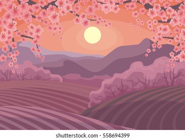 Beautiful spring landscape with the blossoming Oriental cherry. Vector background.