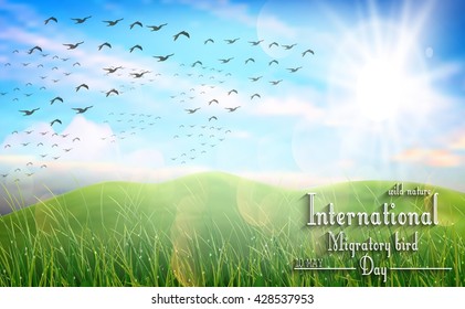 Beautiful spring meadow for Birds migratory day.Vector