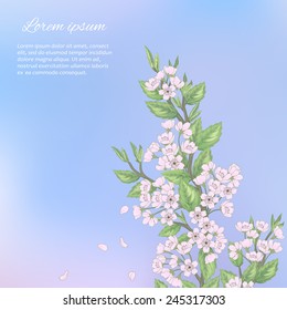 Beautiful spring pattern with branches sakura.