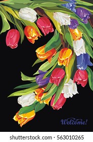 Beautiful spring postcard with tulip flower on black background. Invitation retro greeting card. Vector illustration with watercolor flowers can be used for Valentine template or congratulation design