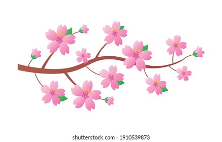 Beautiful spring sakura cherry tree branch with blooming flowers isolated flat vector illustration