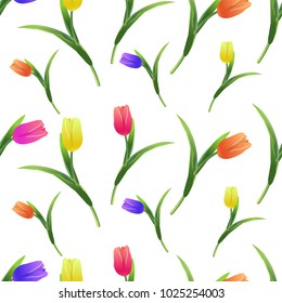 Beautiful spring seamless pattern with Yellow,red,purple,pink tulips.The flowers  on a white background.Vector illustration.Print for gift wrapping,fabric, paper,postcards and website design.
