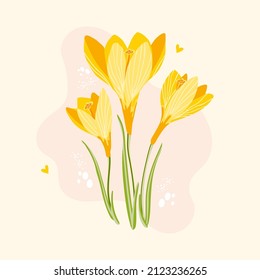 Beautiful spring snowdrops flowers. Yellow crocus flower on tender background with hearts. Design for poster, postcard, banner. Hand drawn vector illustration.