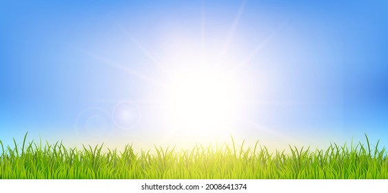 Beautiful spring or summer background with green grass and sunrise landscape. Field under the sunlight. Realistic wallpaper for banner, poster, flyer. Vector illustration EPS10