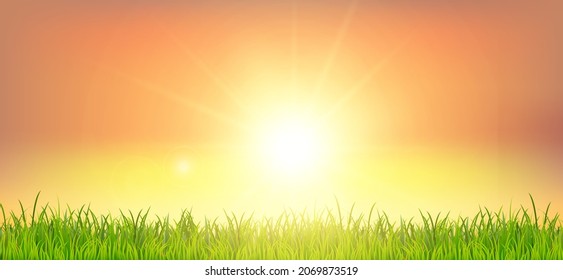 Schöner Frühling- oder Sommerhintergrund mit grünem Gras und Sonnenuntergang. Feld unter dem Sonnenlicht. Realistische Hintergrundbilder für Banner, Poster, Flyer. Vektorgrafik EPS10