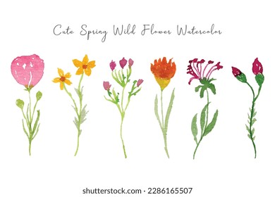 Beautiful Spring and Summer Wild Flower Watercolor Collection