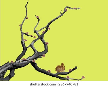 beautiful spring There are cute animals